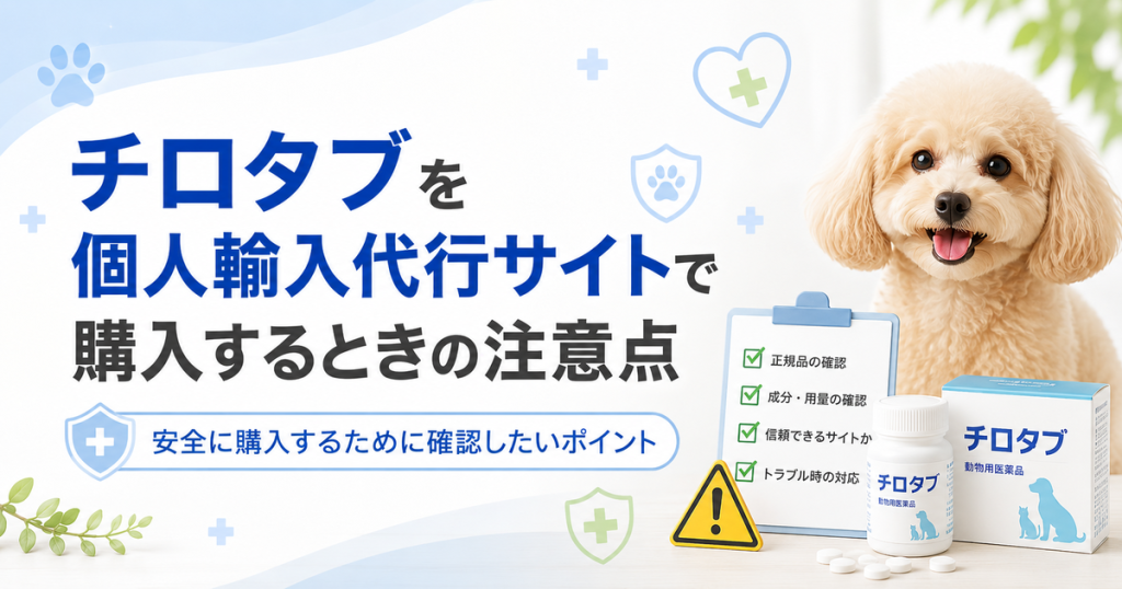 チロタブを個人輸入代行サイトで購入するときの注意点
